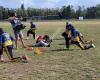 Gent Knights Baseball en Softball
