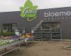 Golie Bloemen en Planten