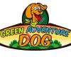 Green Adventure Dog