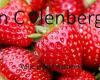 Groenten & Fruitteelt Van Colenberghe