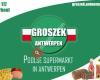 Groszek Antwerpen