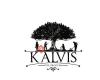Groupe Kalvis