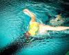 GZVN - Genker Zwemvereniging Neptunus vzw