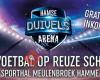 Hamse Duivels Arena