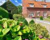 Haspengouws Hoeveke
