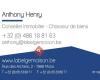 Henry Anthony Immobilier