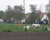 Hoeve Scholiers