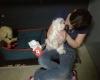 Honden En Katten Hotel Special Dreams