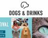 Hondencafé Gent: Dogs & Drinks
