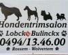 Hondentrimsalon Lobcke Bulinckx