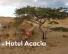 Hotel Acacia Blankenberge