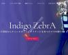 Indigo ZebrA