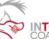 Intouch Coaching