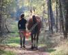 Joceline Roose - PaardAardig - hoefverzorging en training van paarden