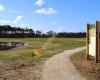 Kempens Landschap - Zwartgoorheide