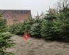 Kerstbomen verkoop Erik Dom in Reet