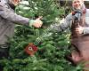 Kerstboom Maastricht