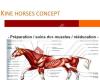 Kiné-Horses-Concept Valérie Mosselmans massage Equin