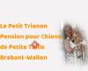 Le Petit Trianon - Pension Pour Petits Chiens à Waterloo