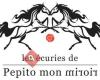 Les écuries de Pépito mon miroir