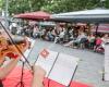 Les Dîners-Concerts Classiques des Terrasses Ste Catherine