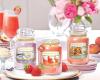 Light your Scents - Yankee Candle webshop Belgium