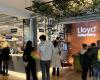 Lloyd Coffee Eatery Louise