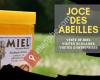 Miellerie - Joce des abeilles