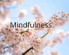 Minder stress met mindfulness
