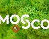 MOSCO