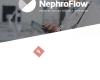 NephroFlow