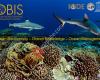 Ocean Biogeographic Information System (OBIS)