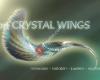 On Crystal Wings