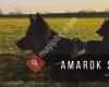 Oudduitse Herder Kennel The Amarok Shepherds