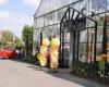 Pajoplants Vlezenbeek