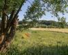 Panorama Wandeling