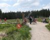 Parc naturel Hautes Fagnes-Eifel