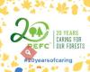 PEFC Belgium - duurzame bossen