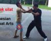 Pencak Silat Indonesian Combat Arts