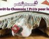 Poils et Plumes Warêt-la-Chaussée