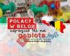Polacy w Belgii - www.gablota.info