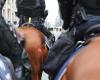 Politie te paard België - Police à cheval Belgique - Belgian Mounted Police