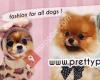 Pretty Pets Shop