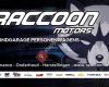 Raccoon Motors