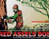 RED Assels BOS