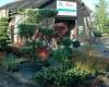 Robeet boomkwekerijen bvba