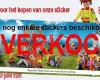 Rode Kruis Rijkevorsel