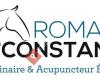 Romain Constant Vétérinaire et Acupuncteur Equin