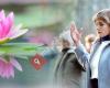 Rustgevende meditatieavonden 'Falun Dafa' in Domein Bokrijk