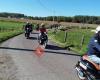 Scootertours Pajottenland